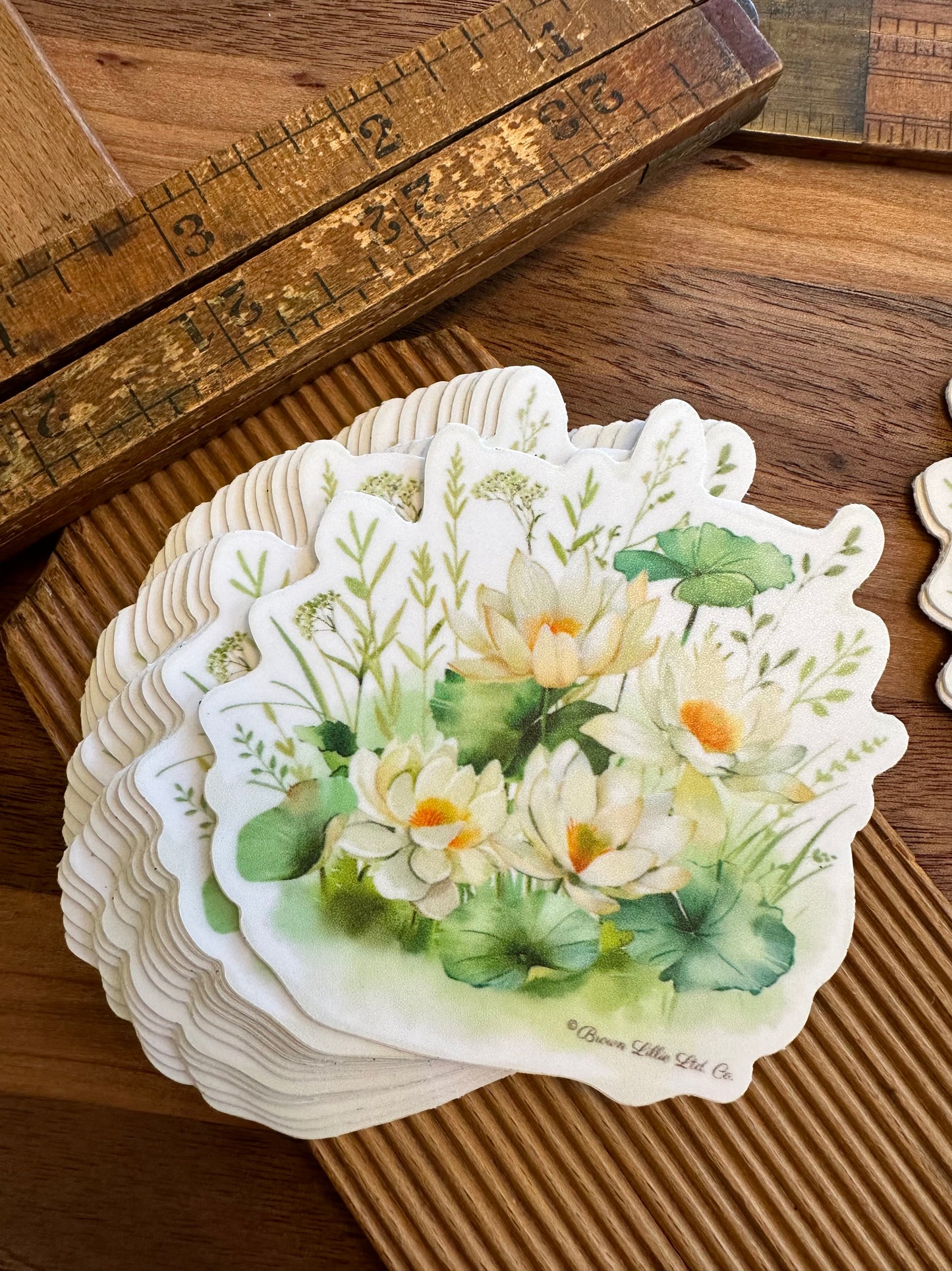 Water Lily: 3" Waterproof Vinyl Sticker | July Birth Flower *Free Shipping