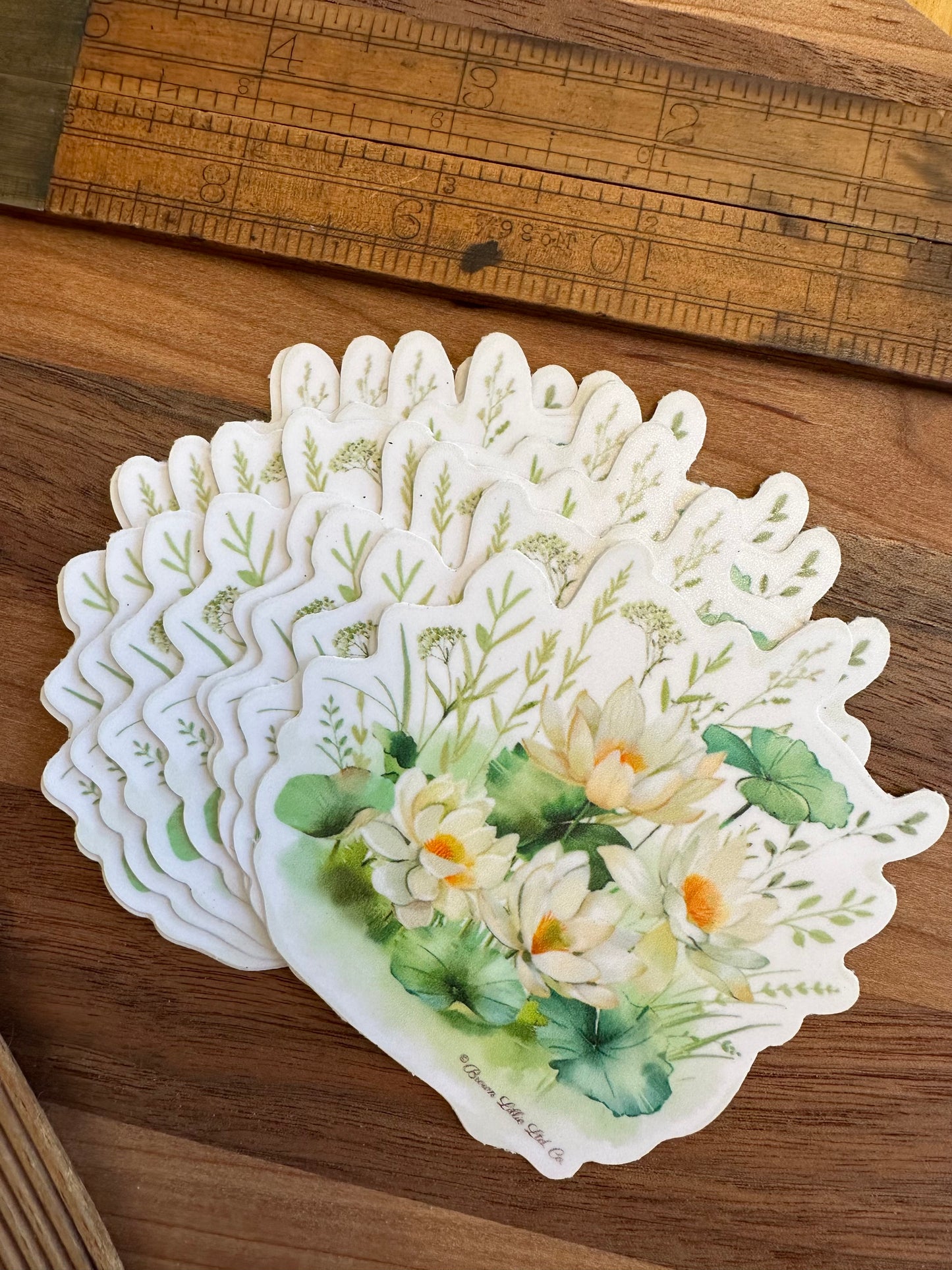 Water Lily: 3" Waterproof Vinyl Sticker | July Birth Flower *Free Shipping