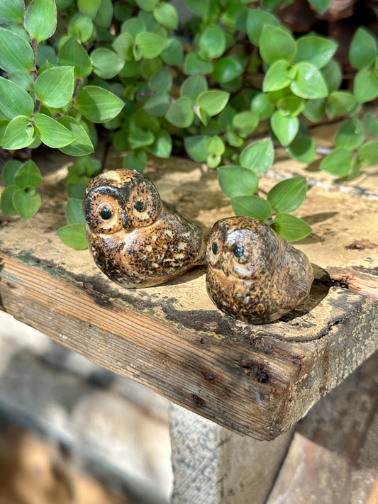 Vintage Owls Set