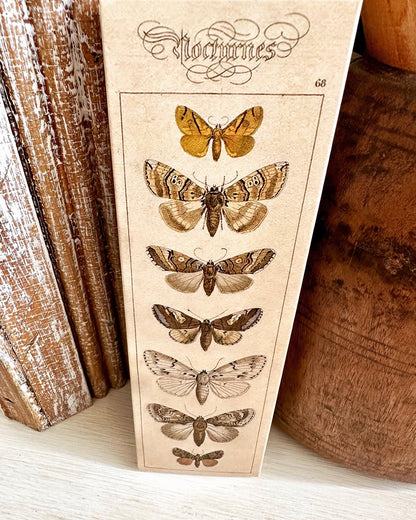 Nature Moth Matches Box