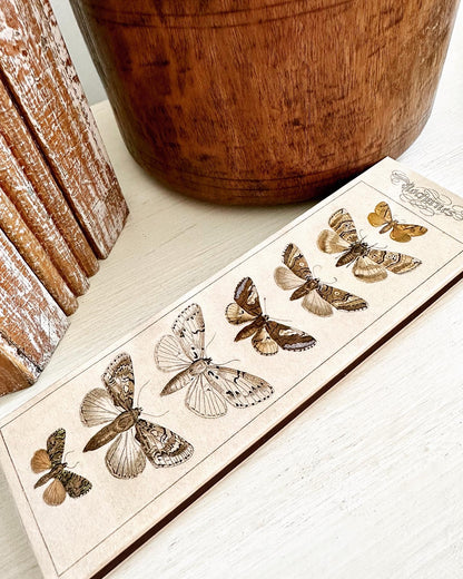 Nature Moth Matches Box