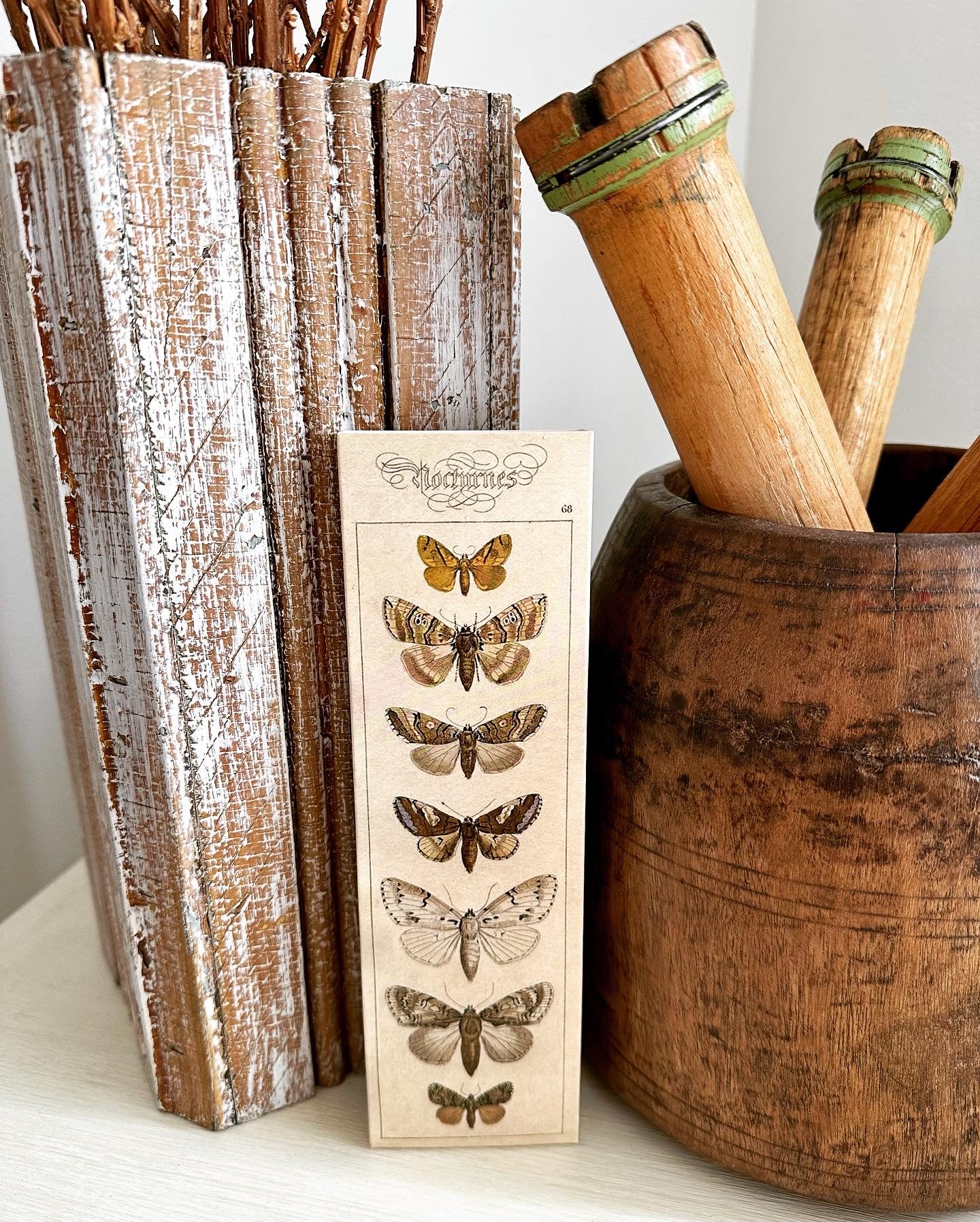 Nature Moth Matches Box